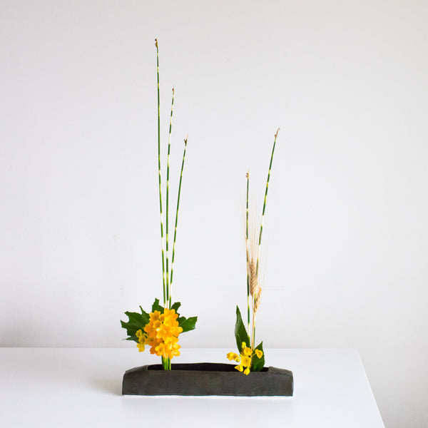 Long Ohara Container