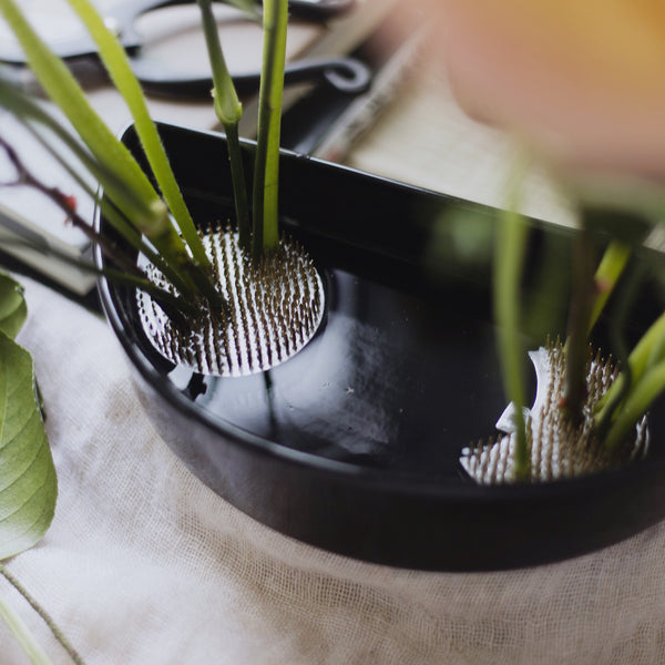 sun and moon kenzan separated. 