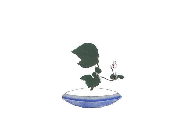 Moribana Container