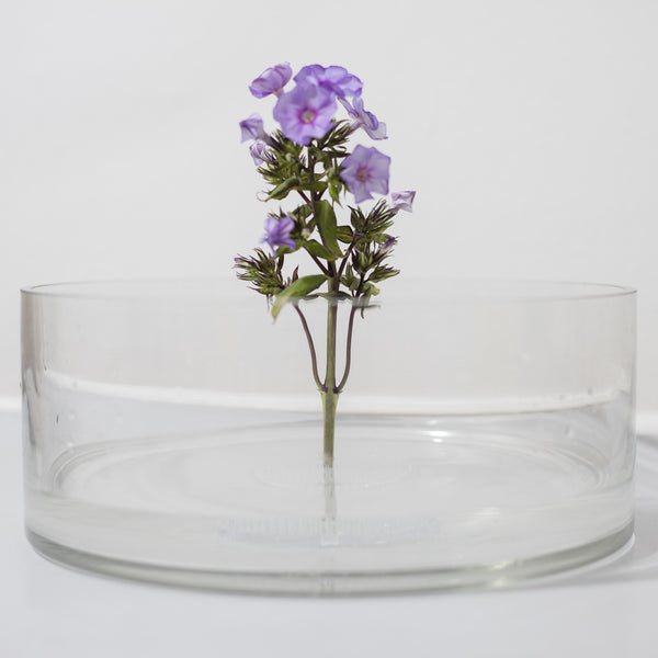 Transparent Acrylic Kenzan (M)